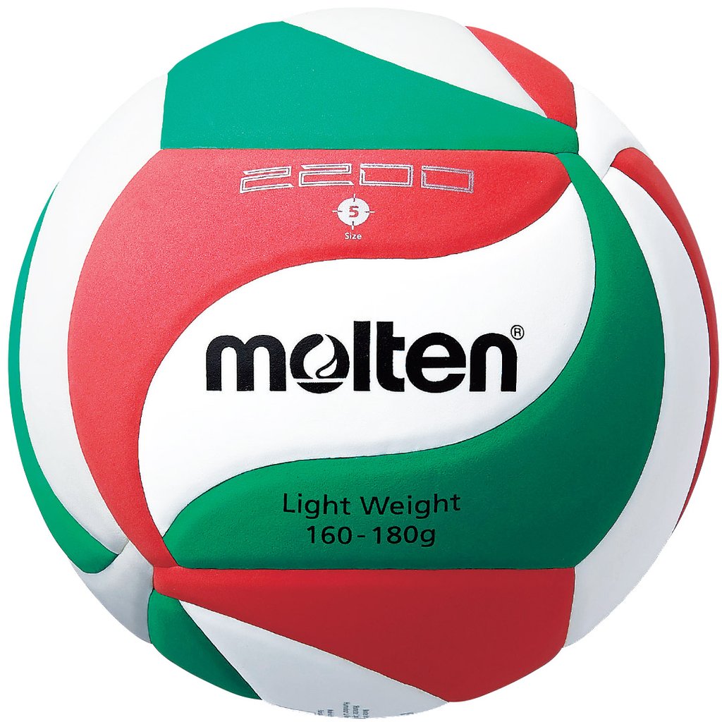 Balon Volley Molten V5M2200